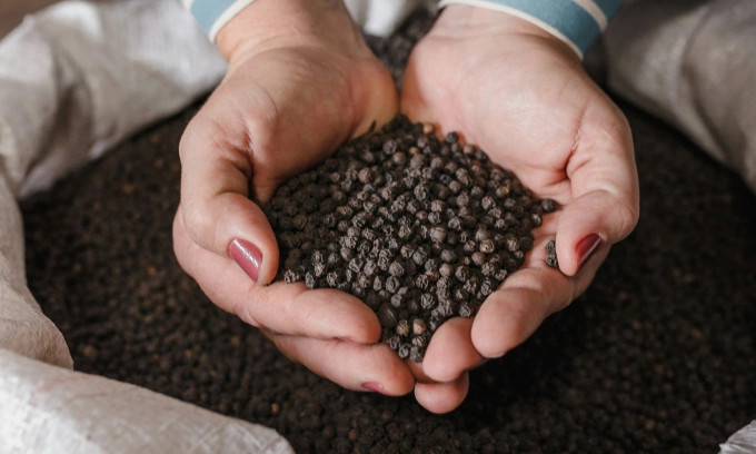 Vietnam earns over $1.5B from pepper export in 11 months