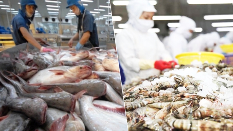 Vietnam’s 2025 seafood exports hit $11.34 billion