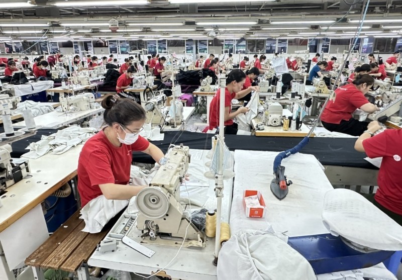 new enterprises established in 7M