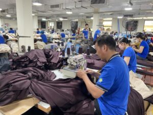 Vietnam FDI capital contribution rules
