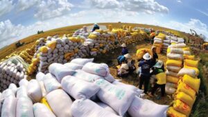 Agricultural exports' role