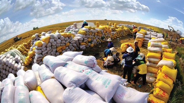 Agricultural exports' role