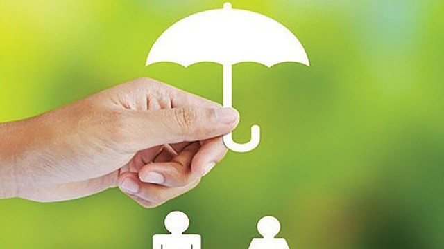 wealth transfer